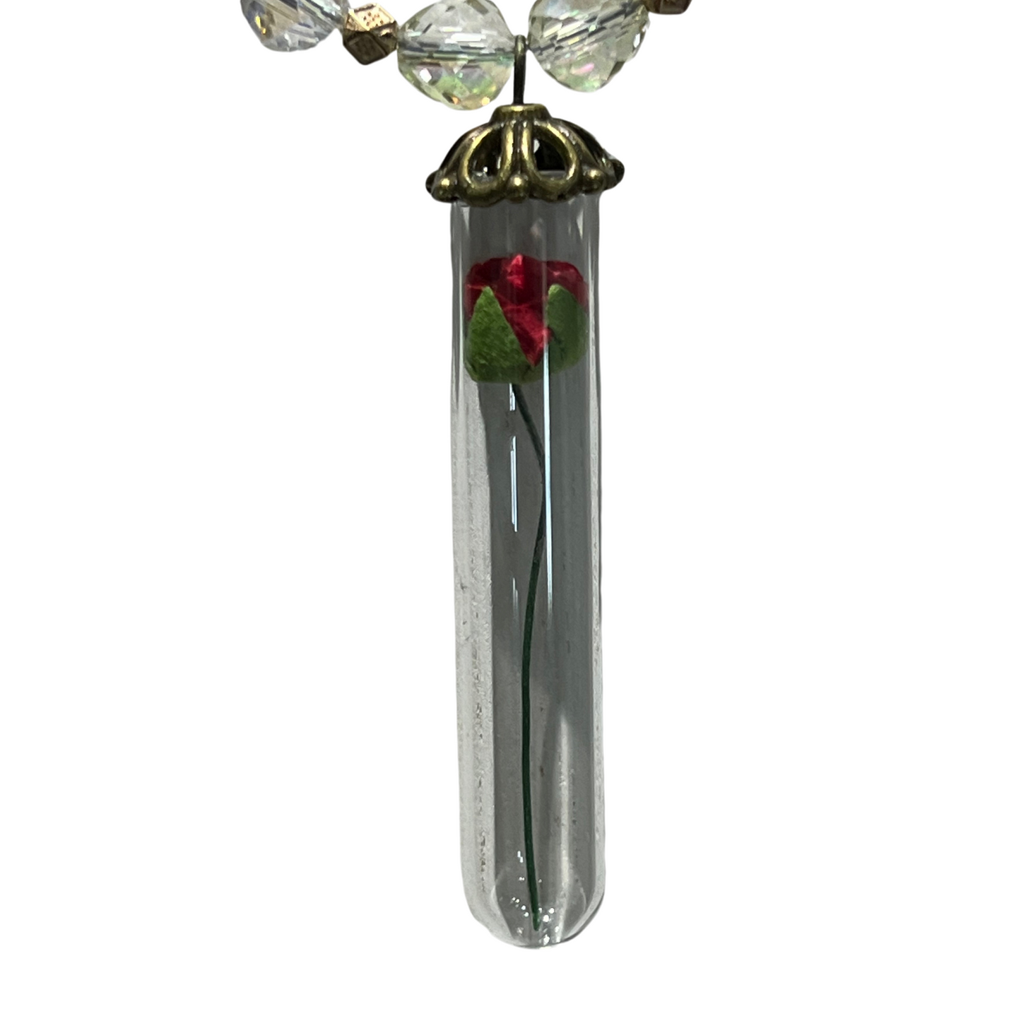 Preserved Beaded Necklace with Rose in Glass Pendant